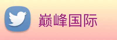 巅峰国际 logo